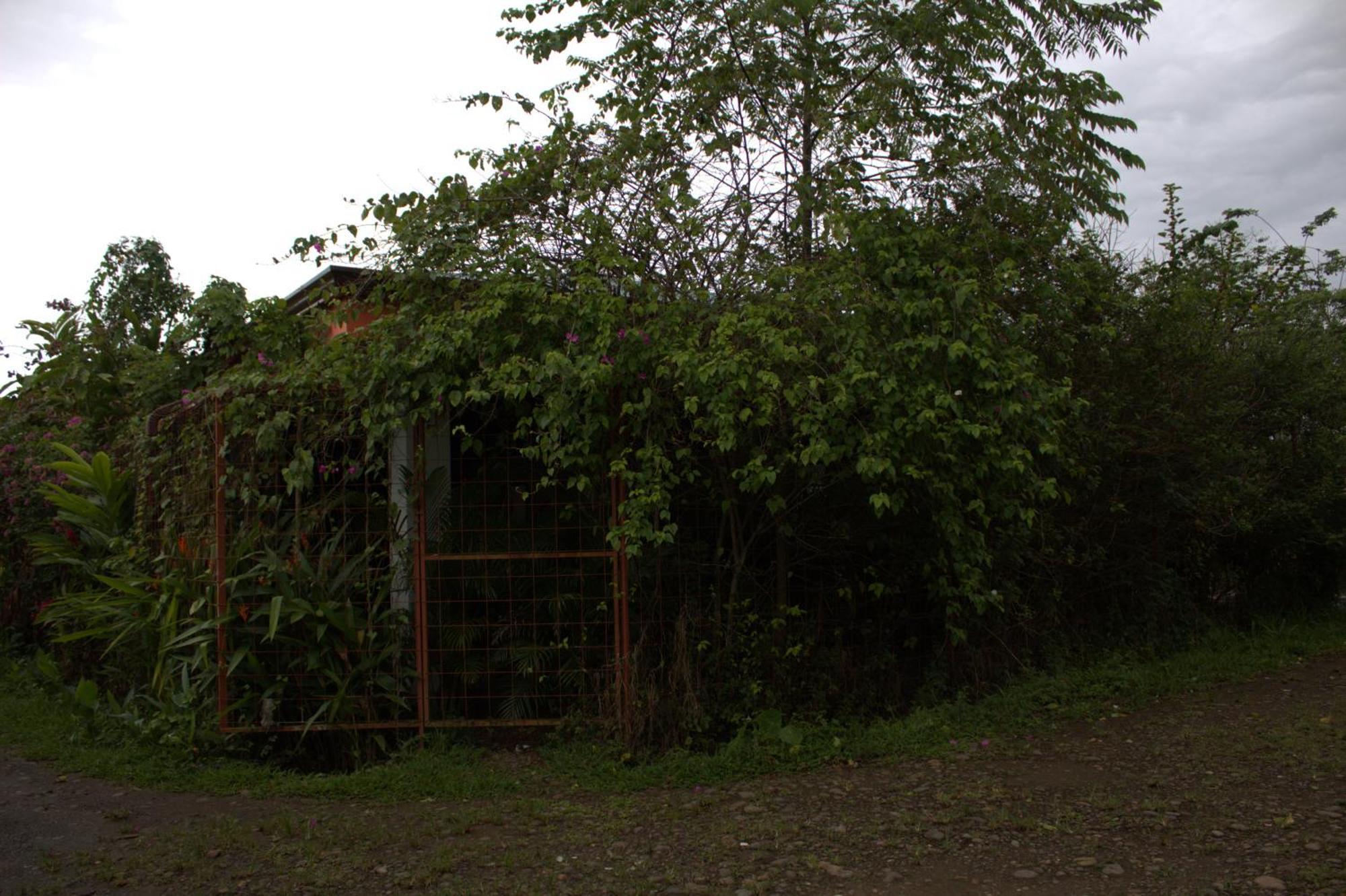 Home La Fortuna Ngoại thất bức ảnh